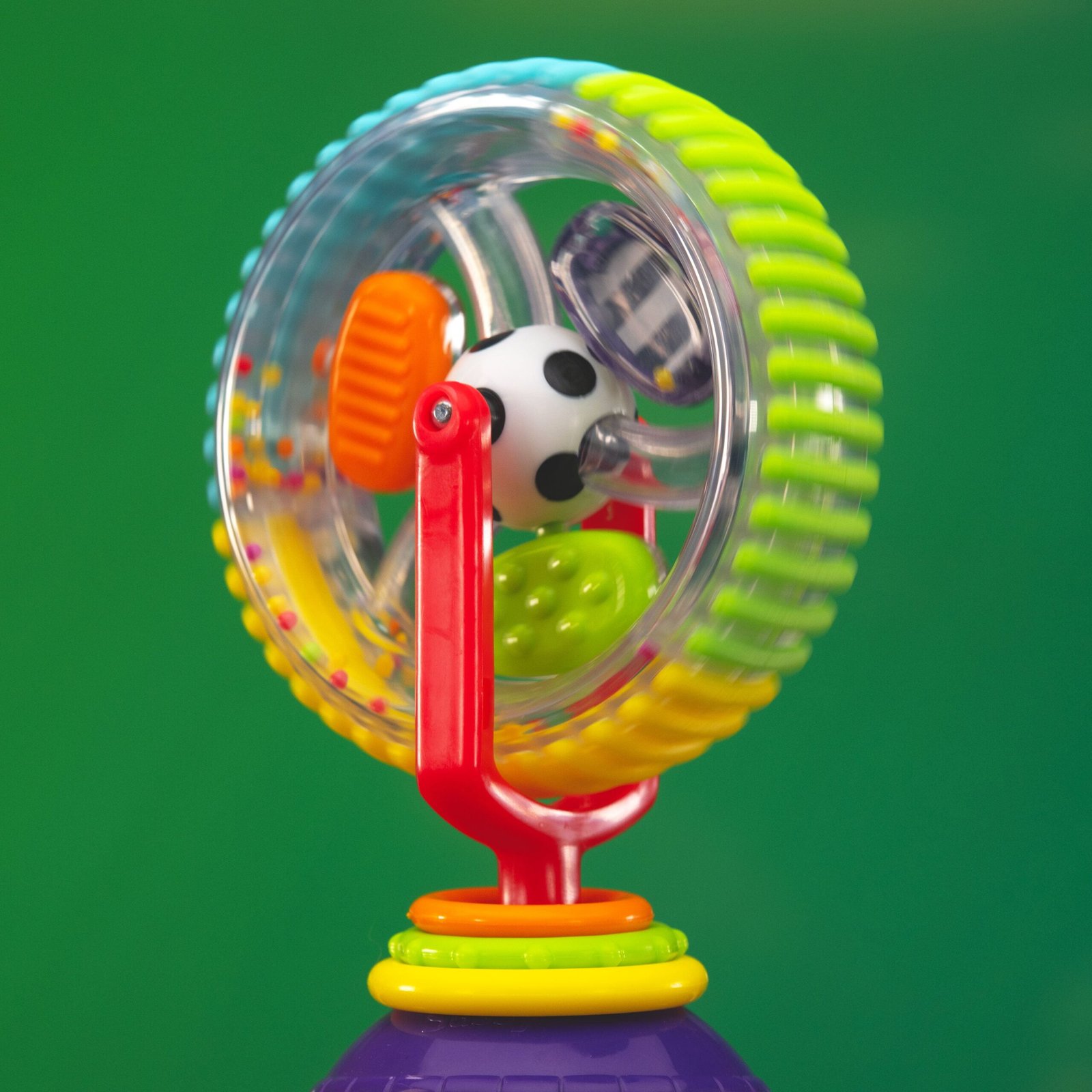 Sassy Wonder Wheel
