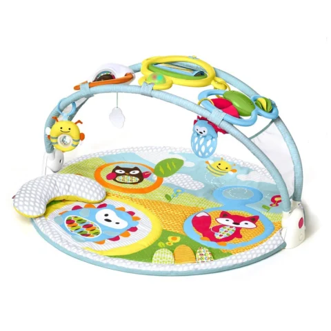 Skip Hop Explore & More Amazing Arch Baby Play Mat Activity Gym