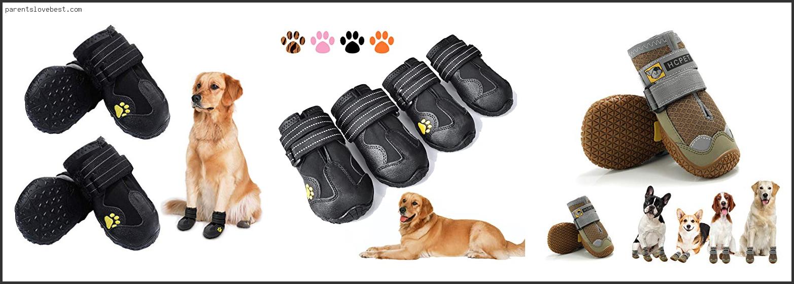 Top 10 Best Hunting Boots For Dogs Based On Scores Best Hunting Boots For Dogs