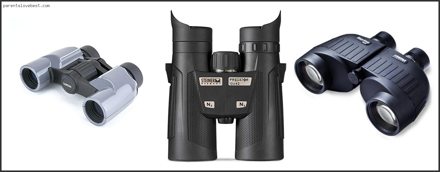 Best Steiner Binoculars For Hunting