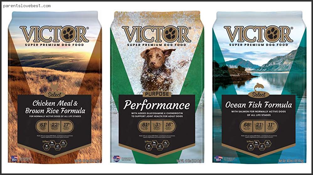 Best Dry Dog Food For Hunting Dogs