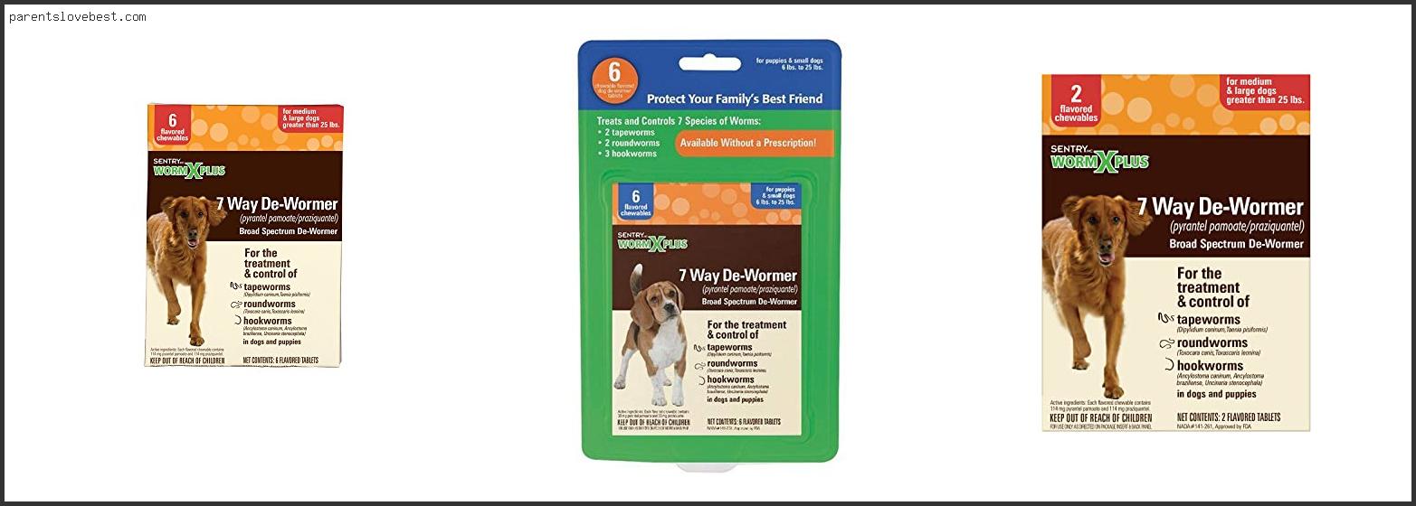 Best Wormer For Hunting Dogs